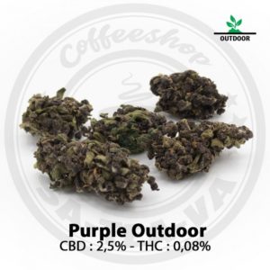 Fleurs CBD Purple