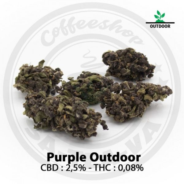 Fleurs CBD Purple