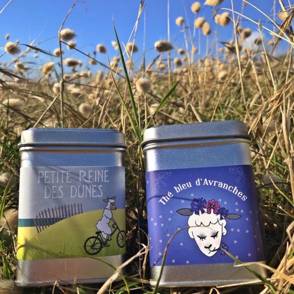 THÉS ET INFUSIONS NORMANDE 40 GR – DIFFÉRENTS THÉS À CHOISIR – Image 3