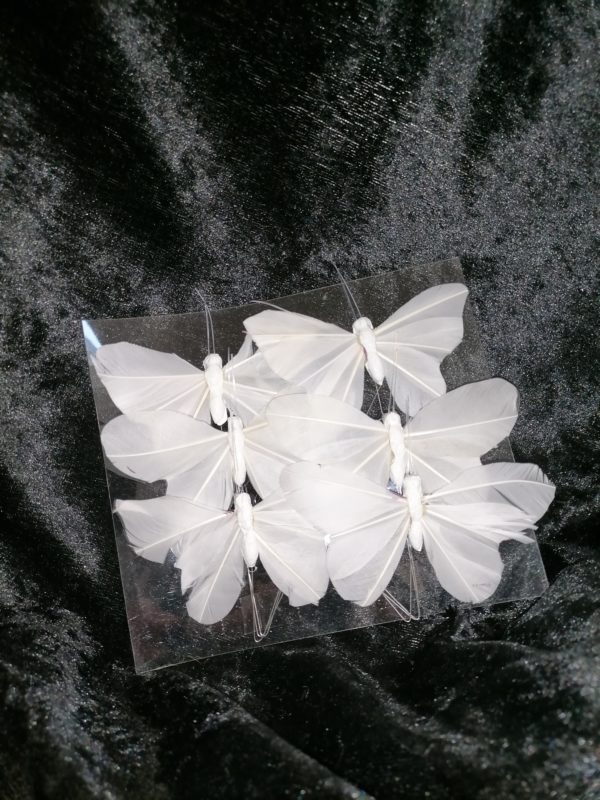 Papillon uni sur tige
