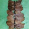 Papillon uni sur tige – Image 4