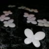 Perles papillons décoratives – Image 4