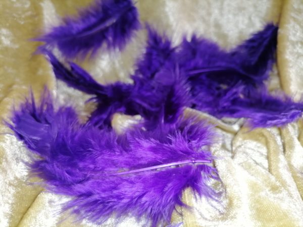 Plumes violettes