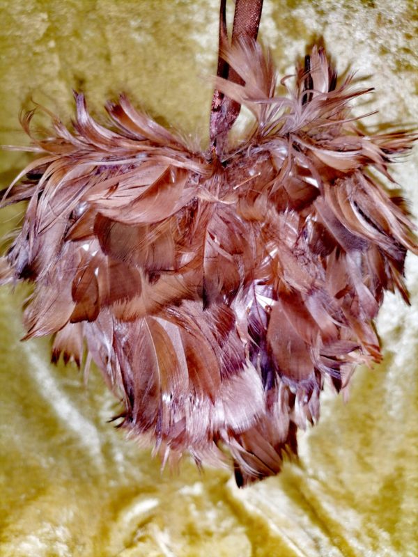 Cœur plumes marrons
