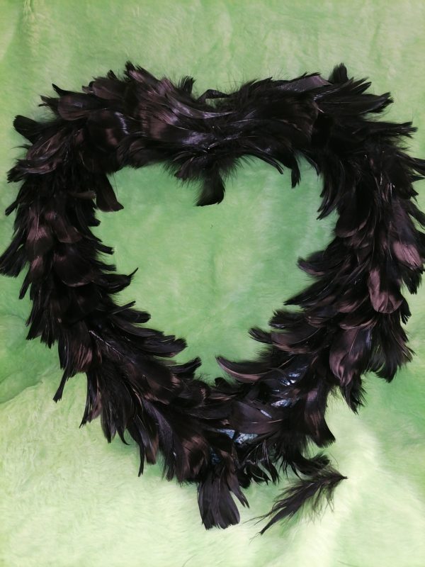 Cœur plumes noires