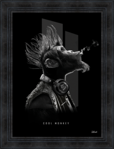 COOL MONKEY