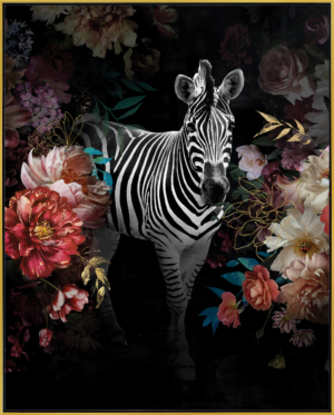 ZEBRE TOILE