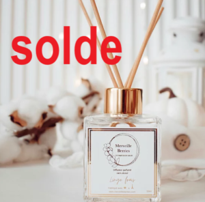 DIFFUSEUR A PARFUM A BÂTON - MERVEILLE BERRIES