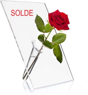 SOLIFLORE : vase Ă une fleur