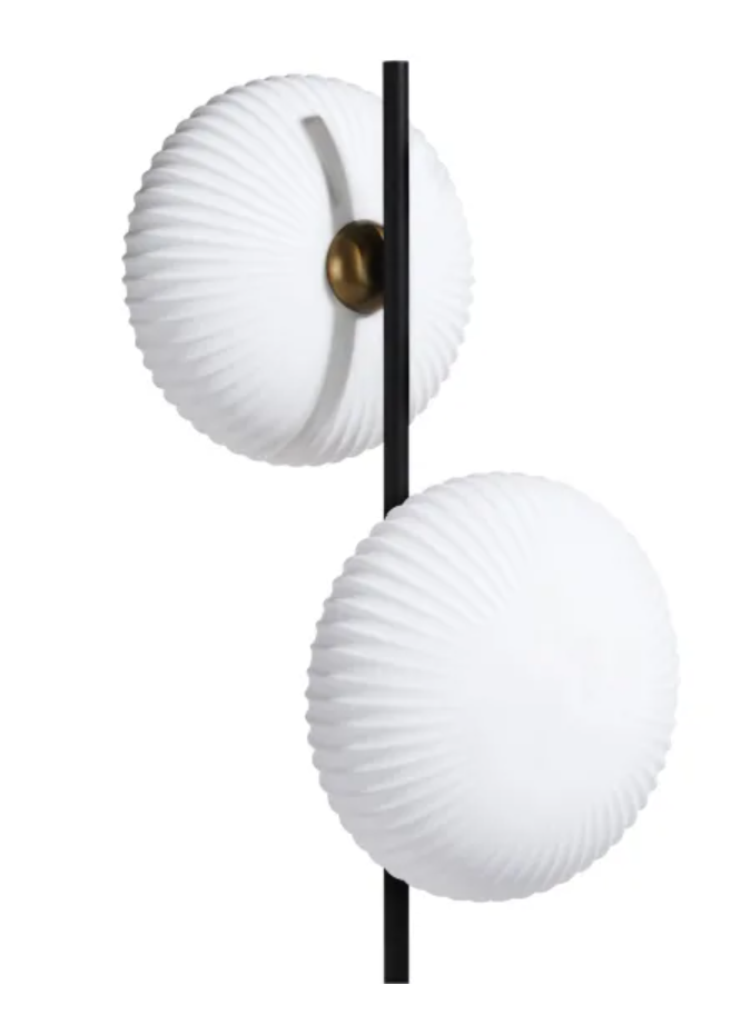 DAVID : lumière – Image 8